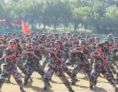 小牛队士气高昂，整体实力展现强大威力狂扫对手的简单介绍